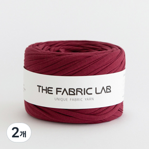 THEFABRICLAB 패브릭얀 뜨개실 300g, 10 레드달리아, 2개