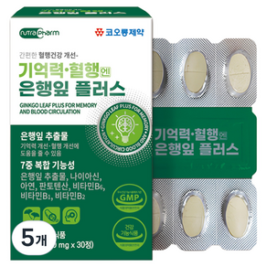 코오롱제약 기억력 혈행엔 은행잎 플러스, 30정, 5개