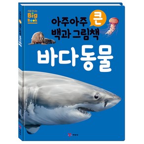 아주아주 큰 백과 그림책 바다 동물