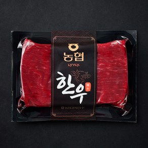 농협 한우 1등급 장조림용 (냉장), 1개, 300g