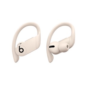 Apple Powerbeats Pro Totally Wireless 블루투스 이어폰