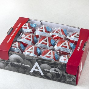 셀렉트팜 GAP 인증 세척사과, 1개, 2kg(소과, 7~12입)
