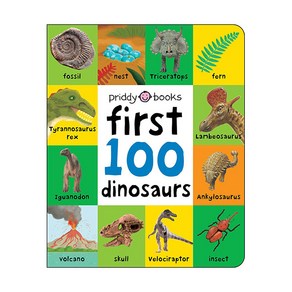 Fist 100:Fist 100 Dinosaus, Piddy Books