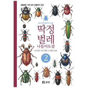 딱정벌레 나들이도감 2:소똥구리와 꽃무지 외 193종, 보리출판사, 강태화, 김종현