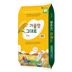 가을맛 그대로 상등급, 10kg, 1개