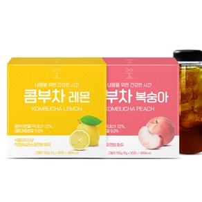 데이앤 콤부차 레몬 5g x 30p + 복숭아 5g x 30p + 전용보틀, 300g, 1세트, 1세트