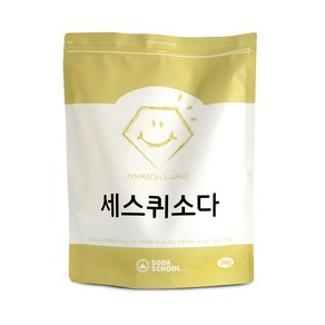 소다스쿨 대용량 세스퀴소다 세정제, 1개, 3kg