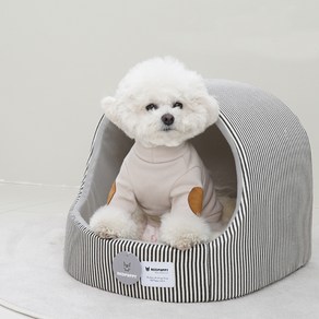 개과천선 강아지 투엘 동글이 하우스