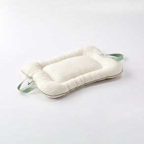 펫본 모던하우스 반려동물 누빔 유모차 쿠션, 1개, 아이보리