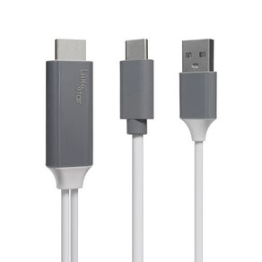 랜스타 타입C to HDMI 스마트폰 TV연결 충전지원형 미러링 케이블, LS-USB312-HDCHAN, 1개