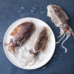 어부심 산채로 포장한 갑오징어 (냉장), 1kg(2~6미), 1개