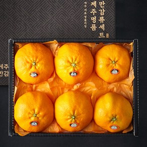 귤탐 고당도 레드향 선물세트, 2kg(5~8입), 1개