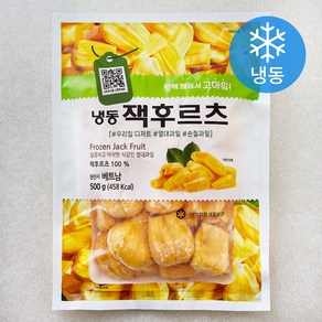 고마워 재호 잭후르츠 (냉동), 1개, 500g