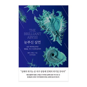 눈부신 심연:깊은 바다에 숨겨진 생물들 지구 인간에 관하여, 헬렌 스케일스, 시공사