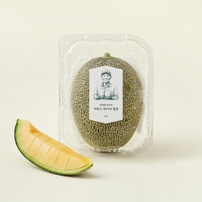 강정열 농부의 저탄소 하미과 멜론, 1개, 900g