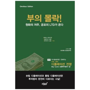 부의 몰락! 원화의 저주 공포의 LTD가 온다:자식들에게만전해주는숏텀 롱텀 디플레이션 전쟁Big Cycle순환투자법이답!, 지식과감성, 손대식