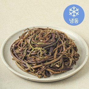 나물투데이 국내산 데친 고사리 (냉동), 1개, 250g