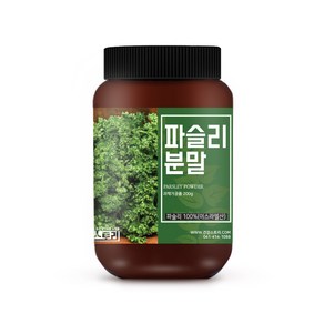 건강스토리 파슬리 분말, 200g, 1개