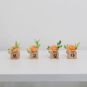 노블리 wood ball 미니화병 4p