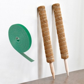 식물지지대 연결형 수태봉 50cm x 2p + 원예용 벨크로 5m 세트