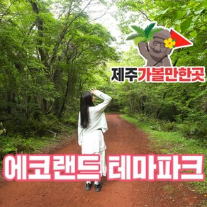 [제주] 에코랜드+제주가볼만한곳