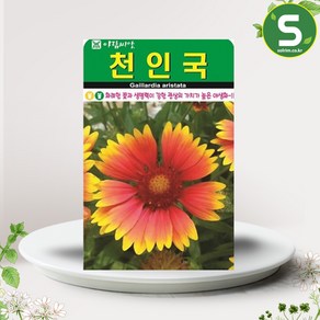 솔림텃밭몰 천인국씨앗 100립 천인국 꽃씨앗 꽃씨 야생화