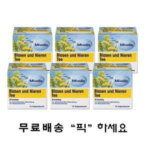 독일 미볼리스 방광 및 신장 차 6개 Mivolis Blasen und Nieen Tee 6set, 12티백, 1.5g, 12개입