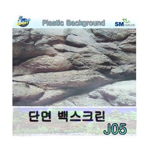 단면 백스크린 [J05] [암벽] [30cm], 단품, 1개