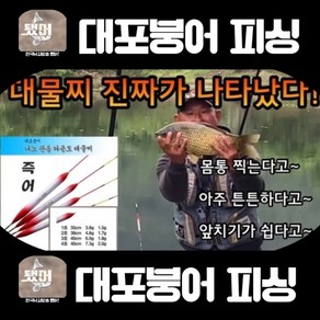 [2024년대포붕어] 대물즉어찌 (나노관통대물찌), 4호 40cm 부력 7.3g, 1개