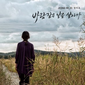 [CD] 정미조 - 바람같은 날을 살다가