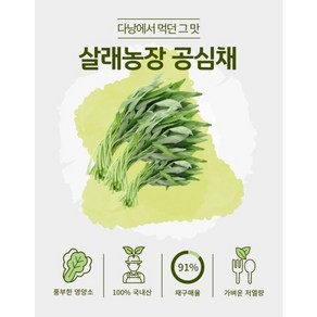 지리산뱀사골 수경재배 공심채 친환경 저탄소인증 GAP인증 [원산지:국산(전라북도 남원시)]