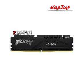 RAM Kingston FURY Beast 데스크탑 AMD 인텔 CPU 마더보드 메모리 DDR5 8GB 16GB 32GB 4800 5200 5600 6000 MHz 288 핀 1., [01] 8G 4800MHz, 01 8G 4800MHz