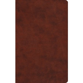 (영문도서) Large Print Value Thinline Bible-ESV Imitation Leather