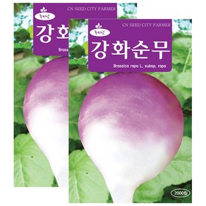 세인화분 강화순무씨앗 2000립 무우 씨앗 순무씨앗, 2개