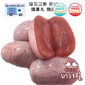 (당일출돼지) 특수부위 영양만점 돼지고환(돈낭), 700g, 3개