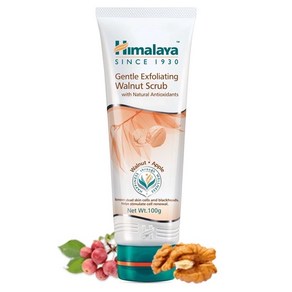 히말라야 페이셜 스크럽 천연허브 Himalaya Hebals Face Scub 100ml x 2개, 1개