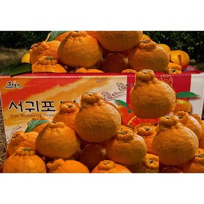 [황금농원] 고당도 서귀포 하우스한라봉 3kg 5kg, 벌크3kg소과(18-20과)