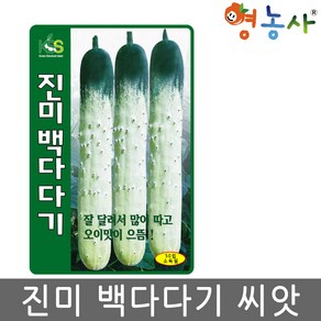 진미 백다다기 오이 씨앗 50립 오이씨 종자 키우기 영농사, 1개