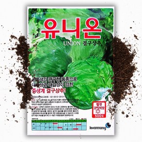 권농종묘 유니온양상추씨앗500립코팅씨앗 결구상추, 1개