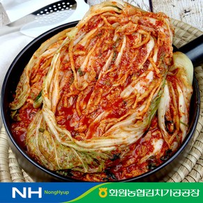 전라도 해남 땅끝마을 농협 포기김치 새우젓갈 100% 국산 농산물 김장 배추 김치