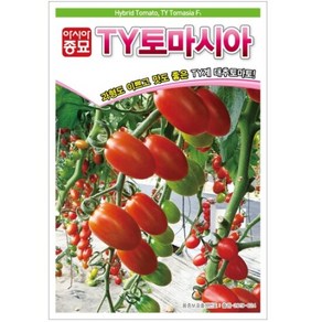 아시아종묘 씨앗 방울토마토 TY토마시아 20립, 1개