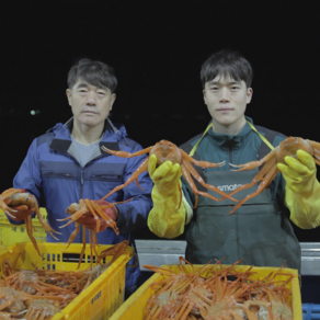 [장성수산] 장성호 선주직판 속초 홍게 고급 프리미엄 (육수용 홍게는 서비스), 1개, 고급 3kg