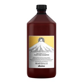 다비네스 내추럴텍 퓨리파잉 샴푸 1000ml, 1개, 1L