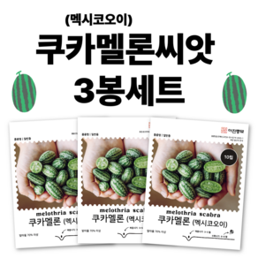 [주주씨앗] 쿠카멜론씨앗 10립 3봉세트 멕시코오이 미니오이 종자 씨 희귀 이색 종자 품종 작물, 1개