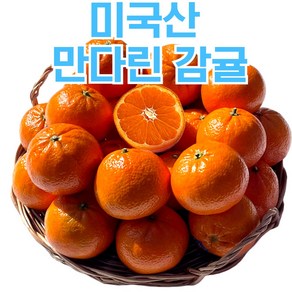 제철달력 미국직수입 초고당도 만다린 감귤, 1세트, 2.0kg