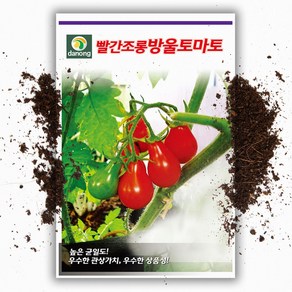 빨강 방울토마토 50립 조롱박 모양 레드 방울토마토씨앗, 1개