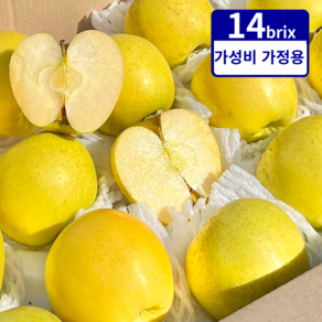 황금사과 가정용 시나노 골드 사과, 1세트, 3kg (중소과)