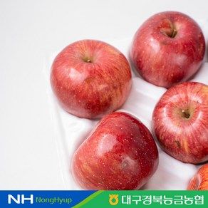 [대구경북능금농협] 청송 꿀사과 (부사) 가정용 3kg (12-15과), 1박스