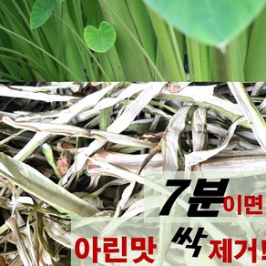 엔젤농장 유기농 국산 건토란대 말린토란대, 1개, 200g