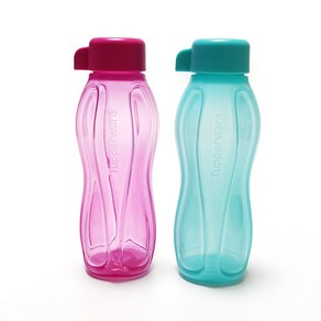 타파웨어 에코 미니 물통 310ml 2p, 블루+레드, 1개